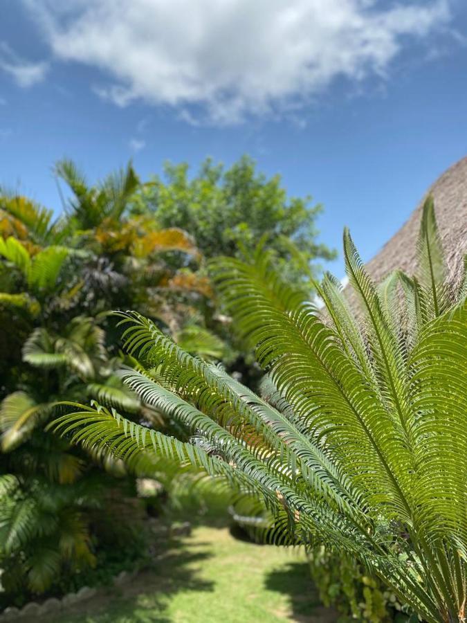 Pousada Porto Mar São Miguel dos Milagres Exterior foto
